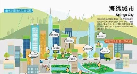 Doctor rain | how to design a sustainable sponge City