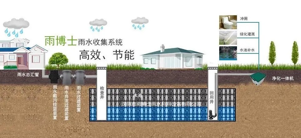 王旭7.jpg